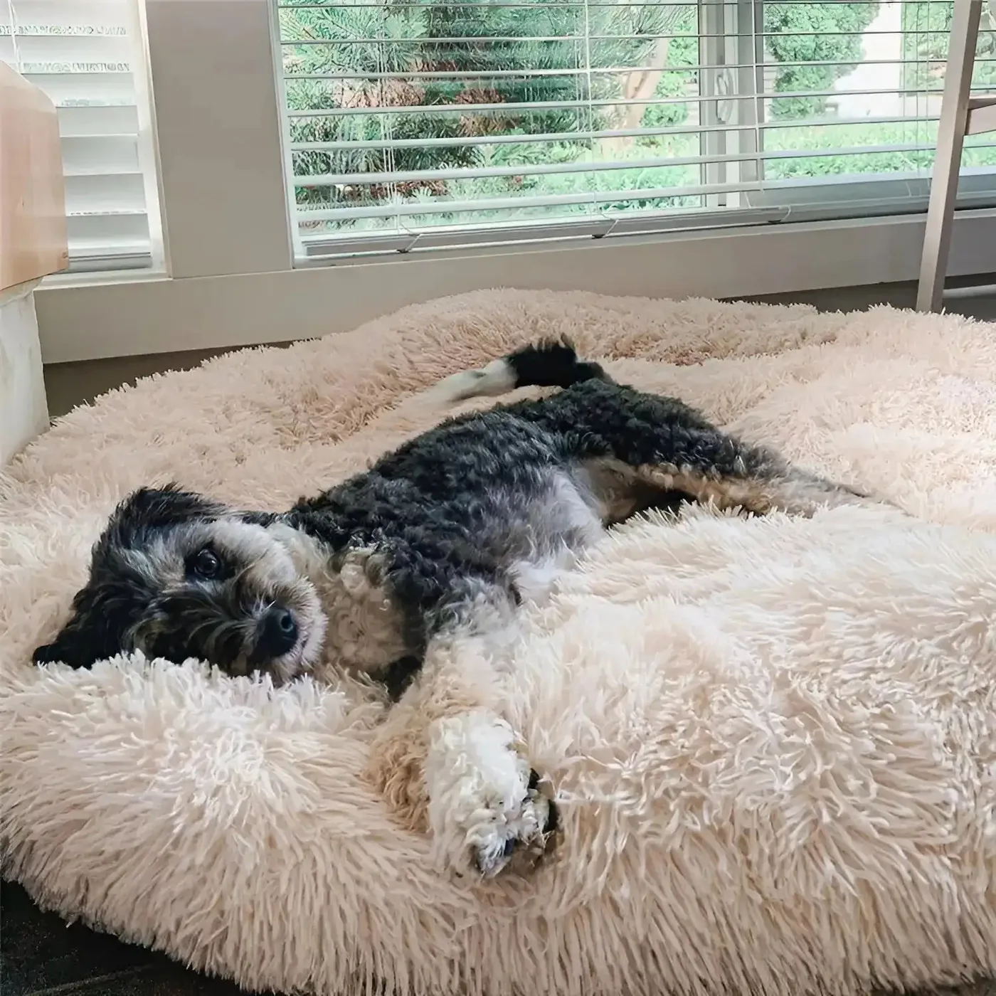 MrFluffyFriend Beruhigendes Hundekissen