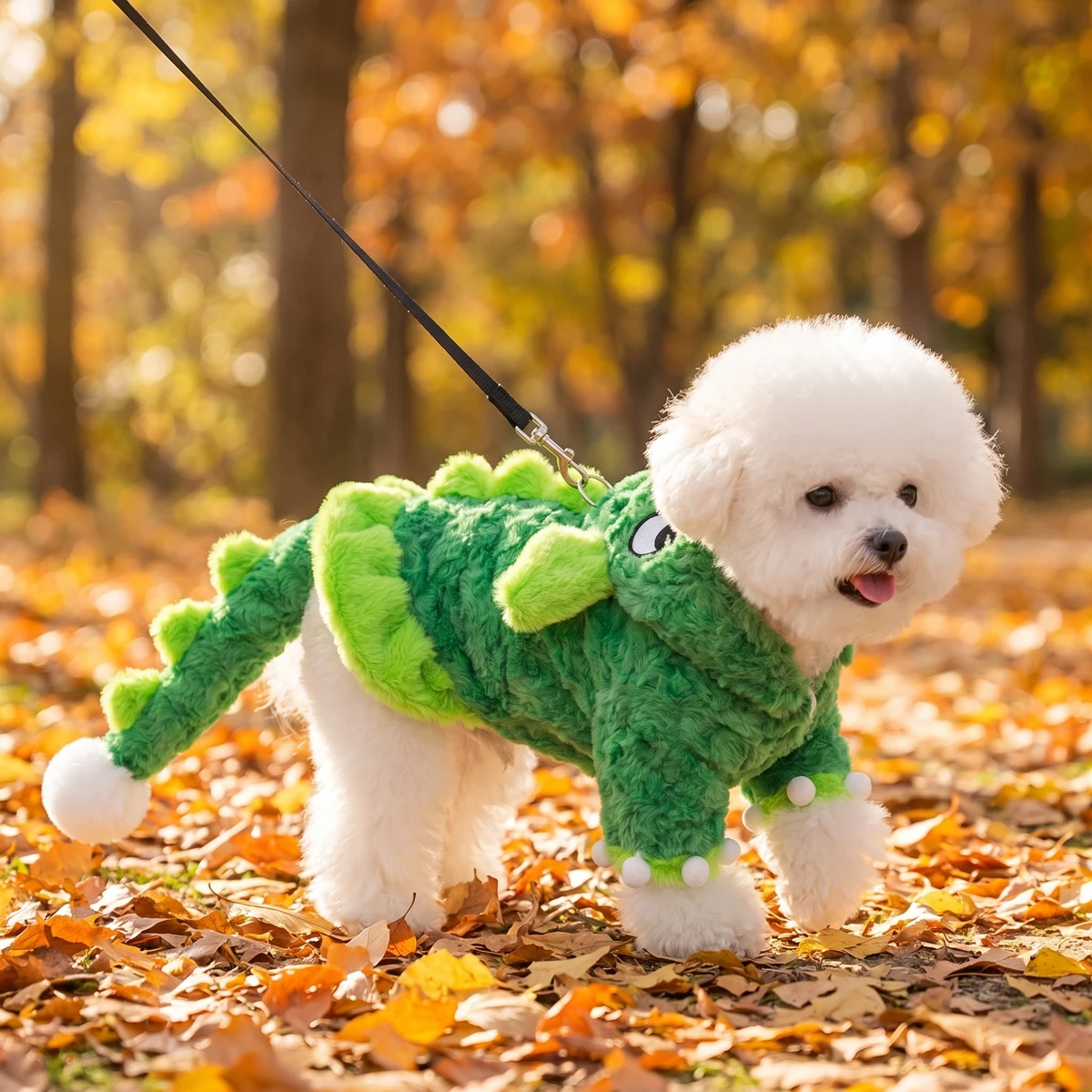 Herbstspaziergang: kleiner Hund im grünen TruePet Dino-Kostüm an der Leine, eingehakt am Ring auf dem Rücken