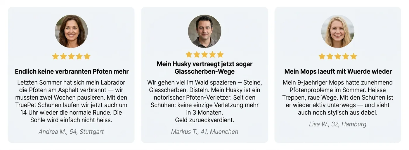 Kunden-Review Collage