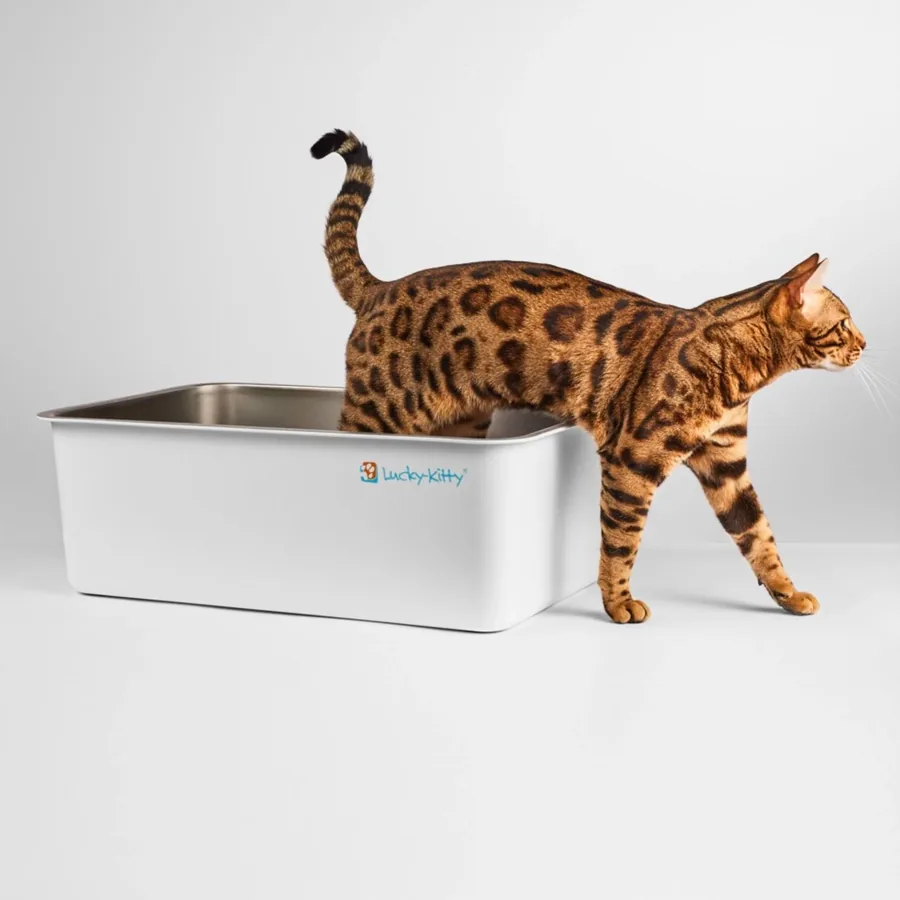 Lucky Kitty Katzentoilette XXL aus beschichtetem Edelstahl mit 20 cm Rand