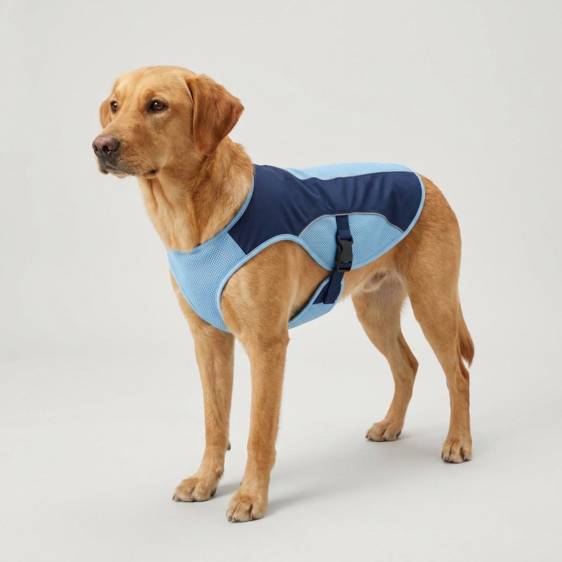 Ruffwear Swamp Cooler K&uuml;hlweste