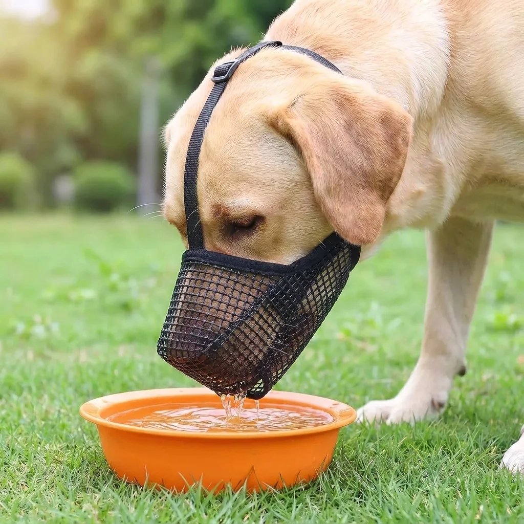 Hund traegt weichen Silikon-Maulkorb entspannt